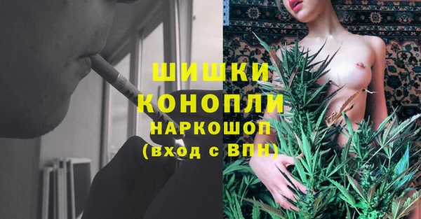 прущий лед Пестово