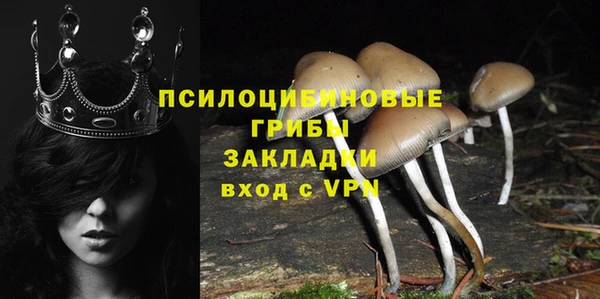 дживик Покачи
