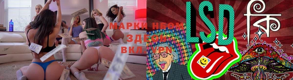 прущий лед Пестово