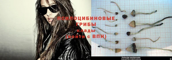 прущий лед Пестово