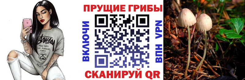 Псилоцибиновые грибы ЛСД  Борисоглебск 