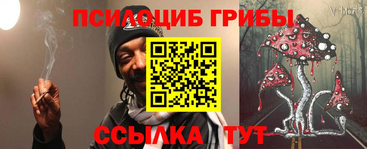 Борисоглебск  Галлюциногенные грибы GOLDEN TEACHER  Галлюциногенные грибы GOLDEN TEACHER  Вход с VPN 