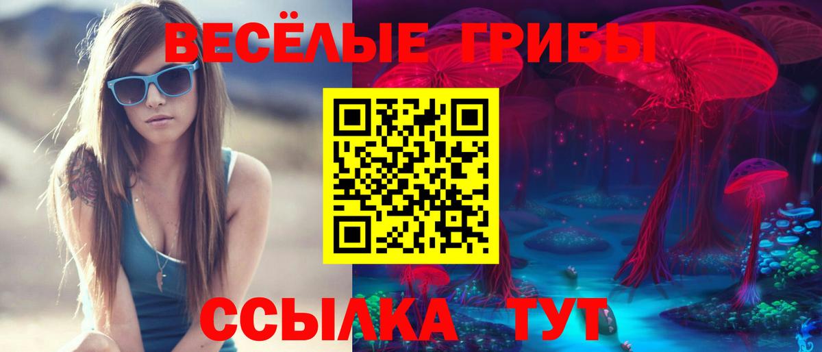 Галлюциногенные грибы мицелий  Борисоглебск 